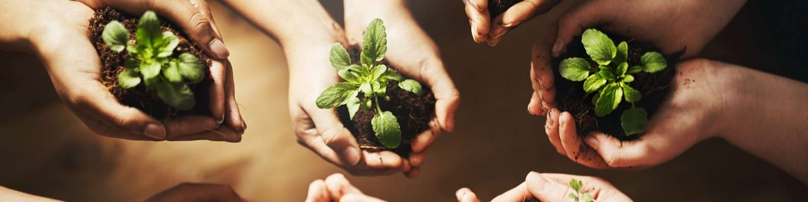 educare alla sostenibilità